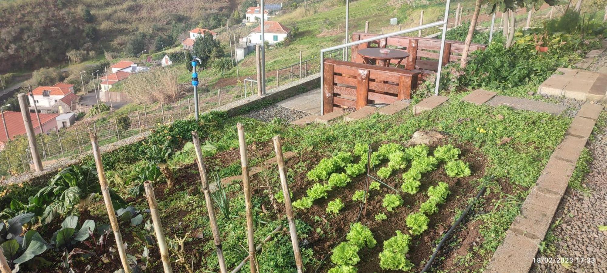 Recanto Das Florencas 3 Villa Arco da Calheta  Exterior photo